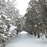 Первый день зимы в Докучаевске 2014
