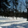 Зимний парк431